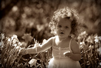 jgpix@hotmail.com
