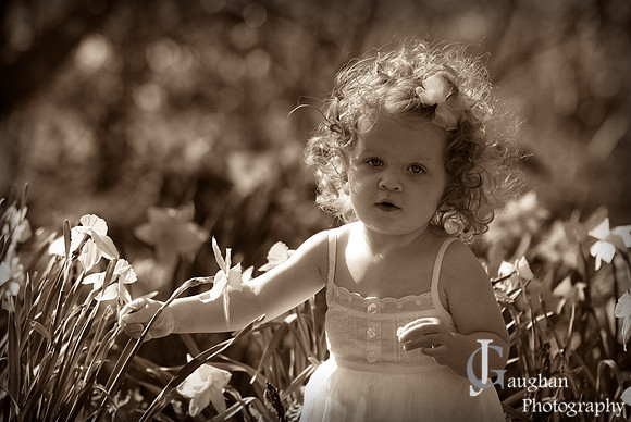 jgpix@hotmail.com
