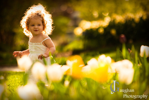 jgpix@hotmail.com