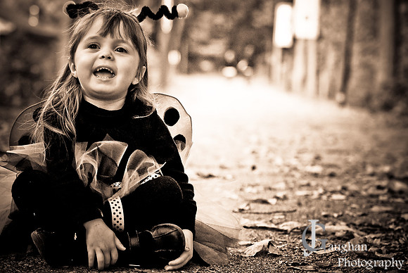 Moll_Fall_09-15