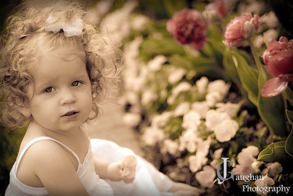jgpix@hotmail.com