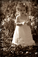 jgpix@hotmail.com