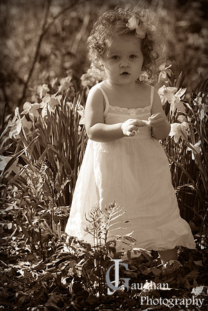 jgpix@hotmail.com