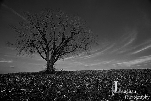 http://jgpix.zenfolio.com