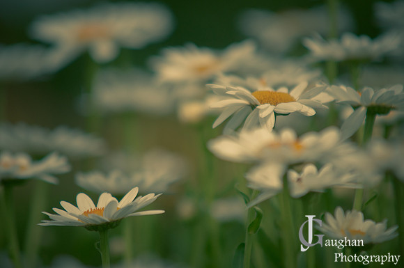 http://jgaughanphotography.com