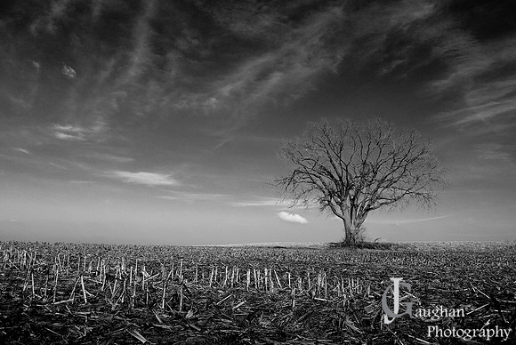 http://jgpix.zenfolio.com
