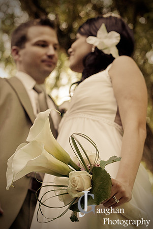 jgpix@hotmail.com