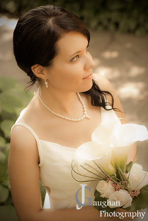jgpix@hotmail.com