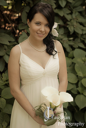 jgpix@hotmail.com