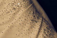 http://jgpix.zenfolio.com