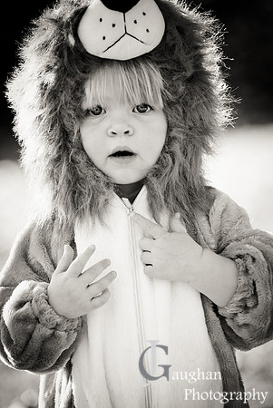 http://jgaughanphotography.com