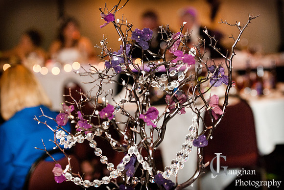 http://jgaughanphotography.com
