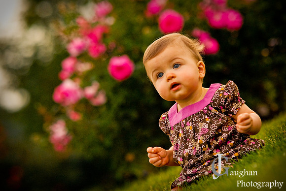 J. Gaughan Photography jgpix@hotmail.com
