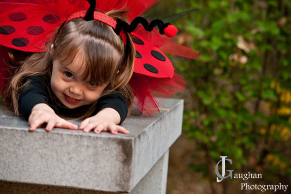 Moll_Fall_09-24