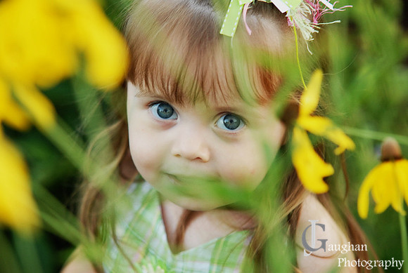 jgpix@hotmail.com