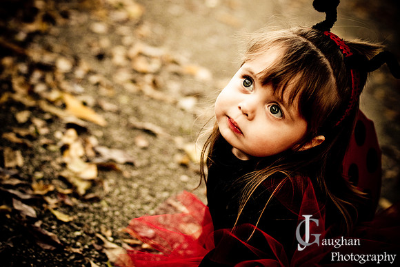 Moll_Fall_09-17