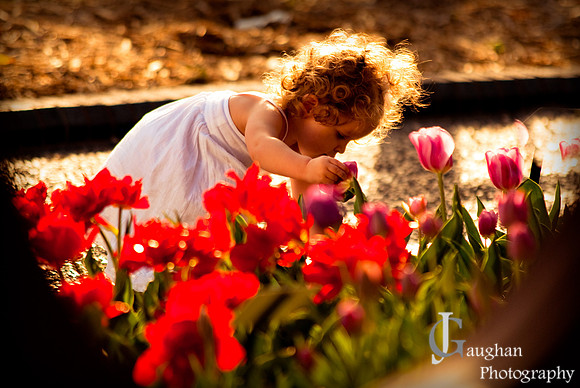 jgpix@hotmail.com