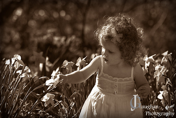jgpix@hotmail.com