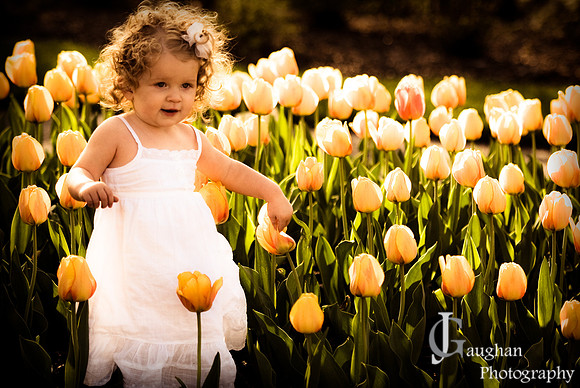 jgpix@hotmail.com