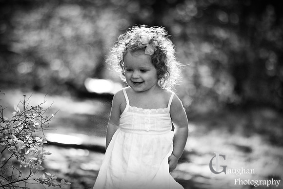 jgpix@hotmail.com