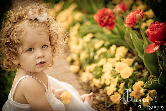 jgpix@hotmail.com