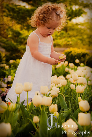 jgpix@hotmail.com