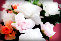 http://jgpix.zenfolio.com