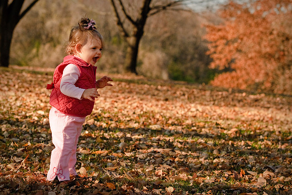 0911_Kleine_Fall_09_0012