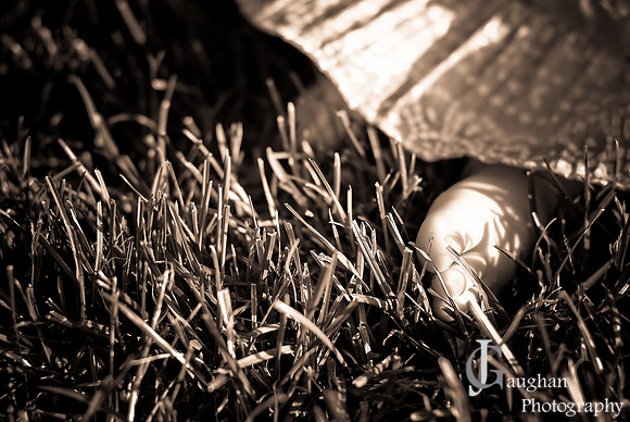 http://jgpix.zenfolio.com