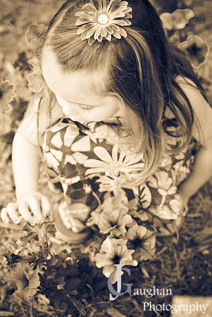 http://jgpix.zenfolio.com