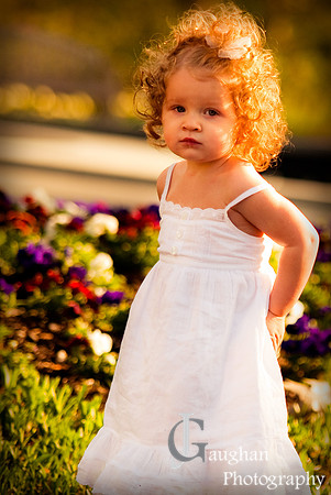 jgpix@hotmail.com