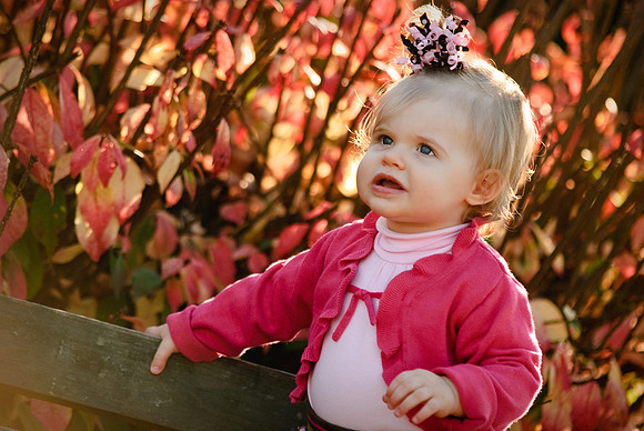 0911_Kleine_Fall_09_0033
